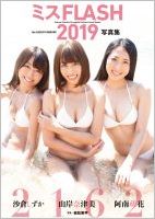 ミスFLASH2.jpg